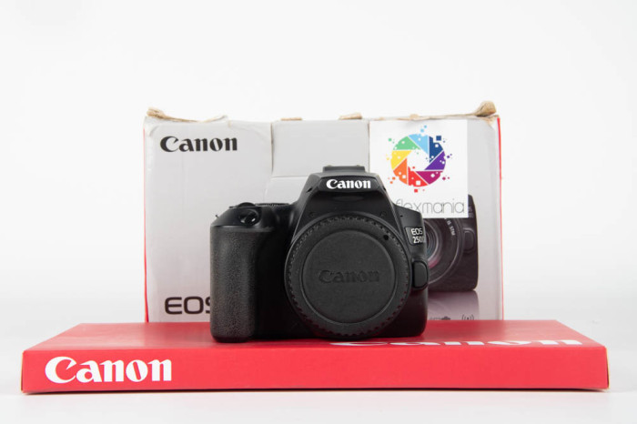 Canon 250D main product photo