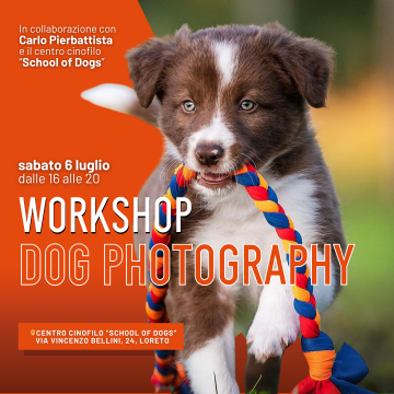 Workshop Dog Photography -  6 Luglio - CONCLUSO